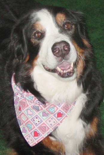 {short description of image}