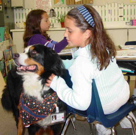 {short description of image}