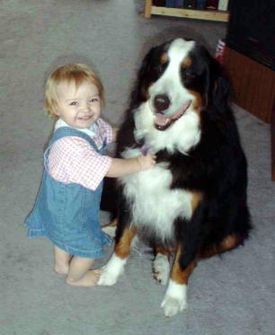 {short description of image}