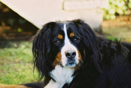 Maggie sadly lost to MH