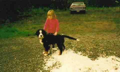 Bernese, Mick, sadly lost to Malignant Histiocytosis