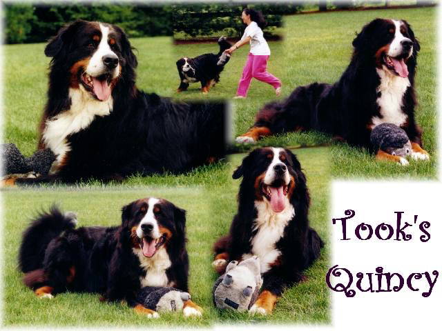 Celebration of Life!