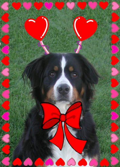 {short description of image}