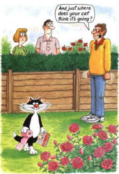 {short description of image}