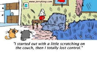 {short description of image}