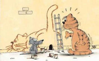 {short description of image}