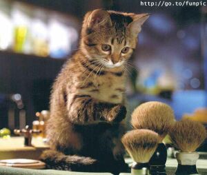 {short description of image}