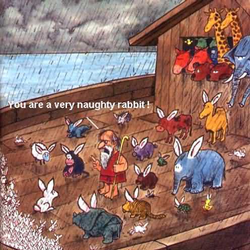 Rabbit, Rabbit, Rabbit