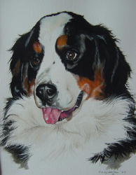 Bern by Pauline Gledhill