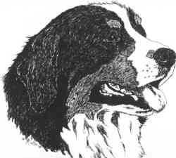 {short description of image}