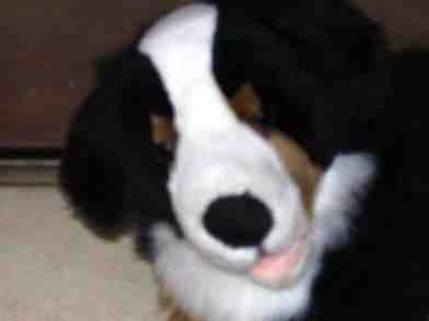 {short description of image}