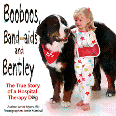 {short description of image}