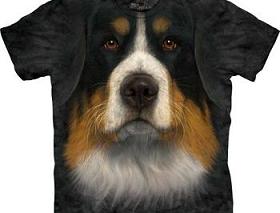 {short description of image}