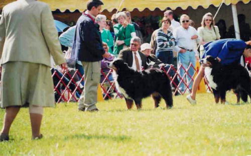 {short description of image}