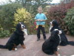 James and the dogs!