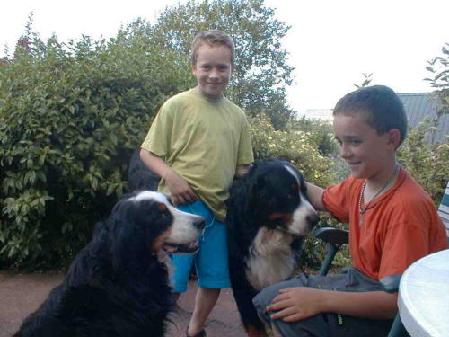 Bernese Sunny and Simmy, with James and Henry!
