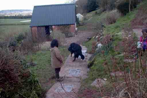 Good try at mating MBD's