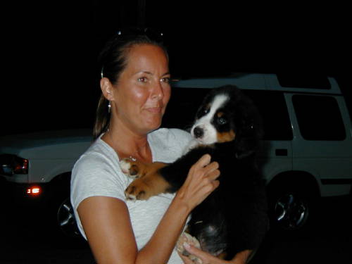 {short description of image}