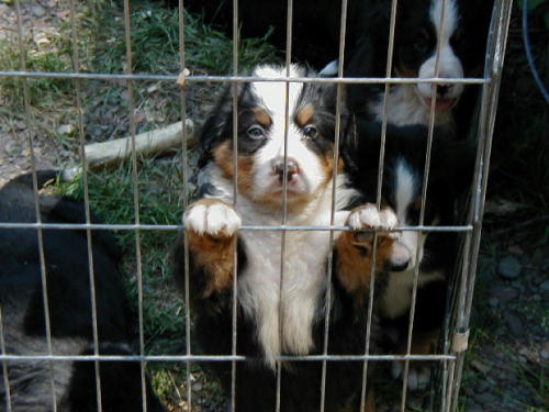 Let me out of here!