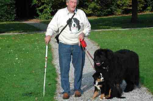 Willem with puppy Dingo and Simba