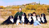Kimberlite Bernese