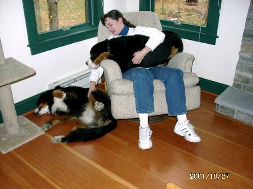 As for Buddy Lapdog!