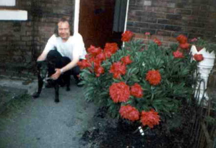 Very special dog, Brandy