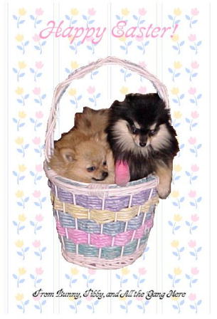 Happy Easter from Bunny, Tibby and the Gang