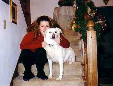 Jasmine, GSD/Lab cross