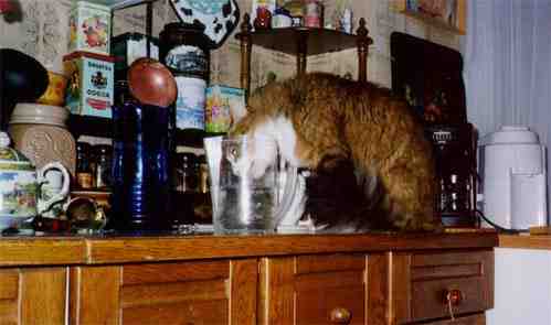 {short description of image}