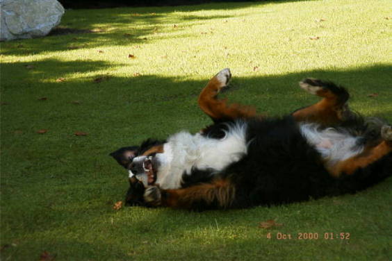 Babe has a good roll