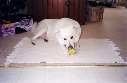 {short description of image}