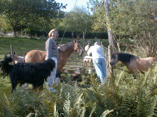 Carole and Tony meet the Gang.