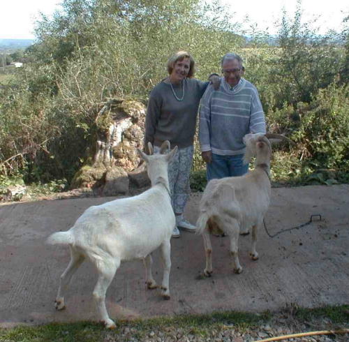 {short description of image}