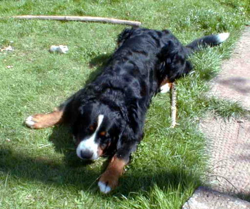 Eaten my Jumbone, where's the party!