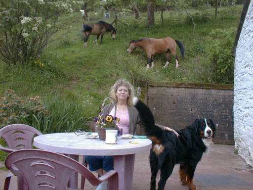 La Nell, Ponies and Berner, Simmy!