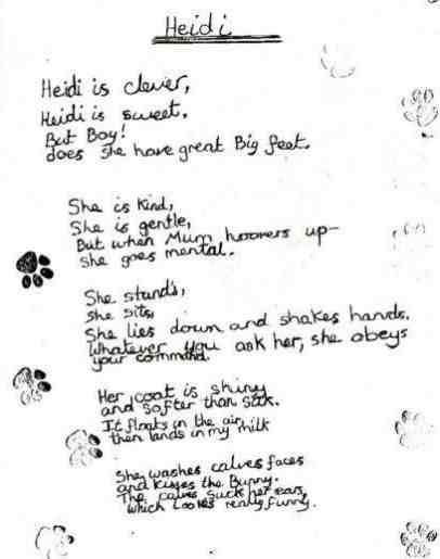 Ode to a Bernese Mountain Dog.