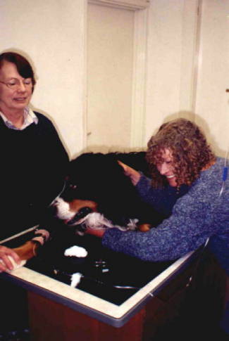 Samson undergoing chemotherapy.