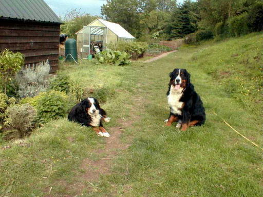 Encouragement from my BMD's