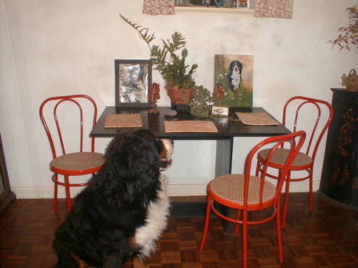 {short description of image}