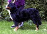 Zeta the BMD