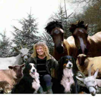 Bernese Mountain Dogs, cats, sheep, goats, ponies and me!