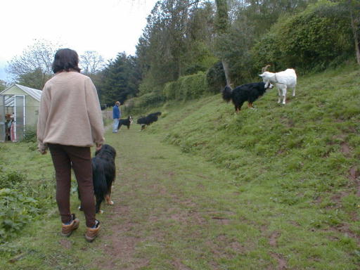 OK, we're at Longlease. Let's go!