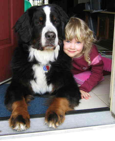 {short description of image}