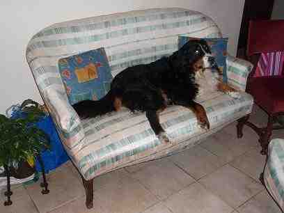 {short description of image}