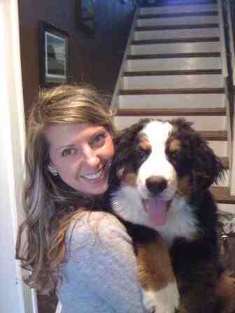 {short description of image}