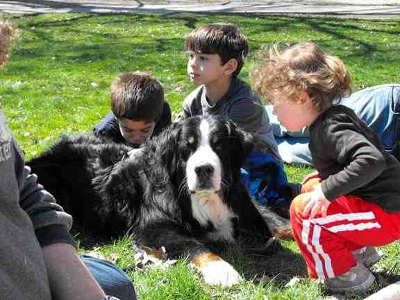 {short description of image}