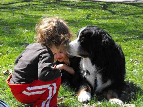 {short description of image}