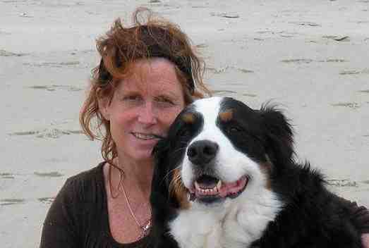 {short description of image}