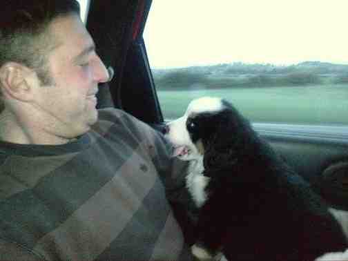 {short description of image}